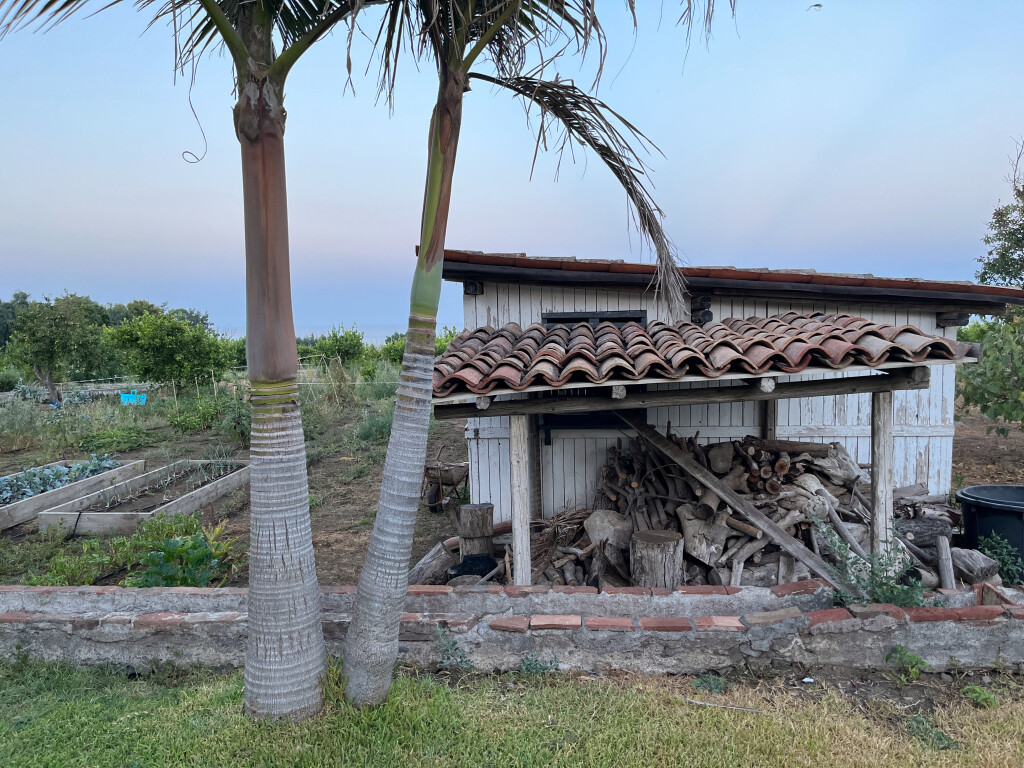 Shed, Palms, and Garden, at Villa, Acireale, Sicily
